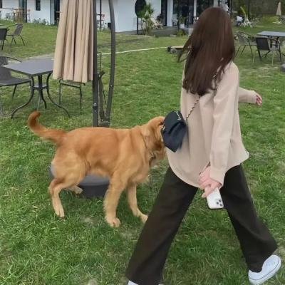 连环杀手的妻子